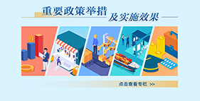 重要政策舉措及實施效果